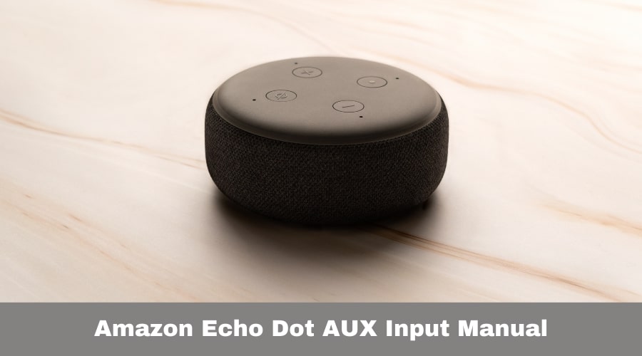 Amazon Echo Dot AUX Input Manual