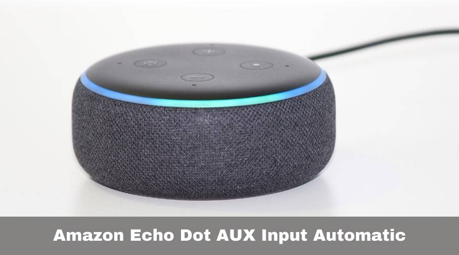 How To Use Echo Dot As A Speaker With AUX Enjoytechlife